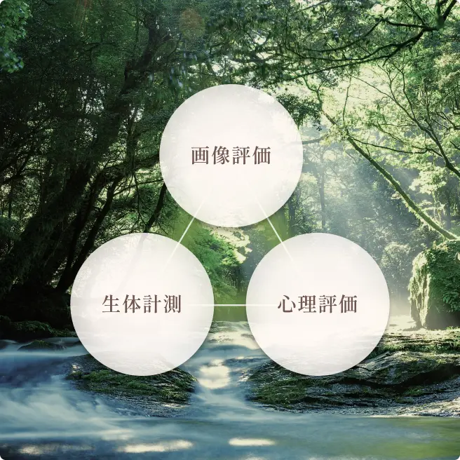 図:画像評価・生態計測・心理評価