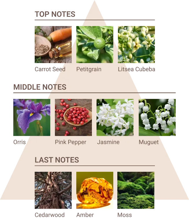図：香りのピラミッド