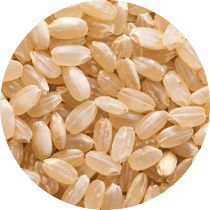 玄米発酵エキス