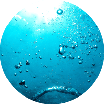 マリン発酵エキス